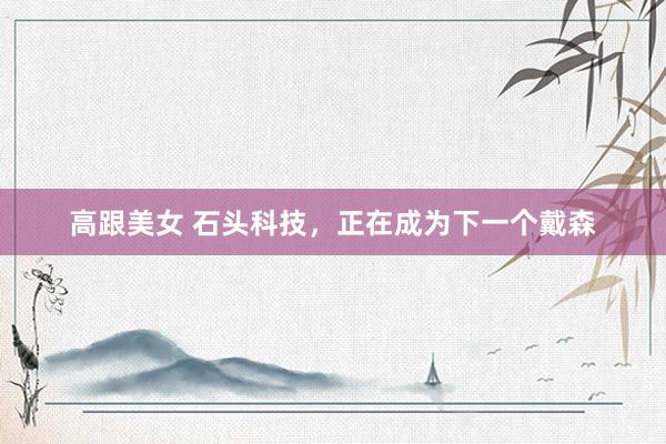 高跟美女 石头科技，正在成为下一个戴森
