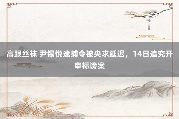 高跟丝袜 尹锡悦逮捕令被央求延迟，14日追究开审标谤案