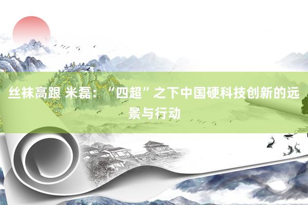 丝袜高跟 米磊：“四超”之下中国硬科技创新的远景与行动