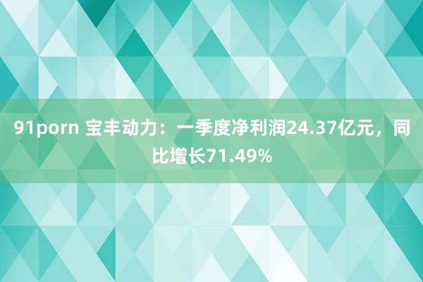 91porn 宝丰动力：一季度净利润24.37亿元，同比增长71.49%