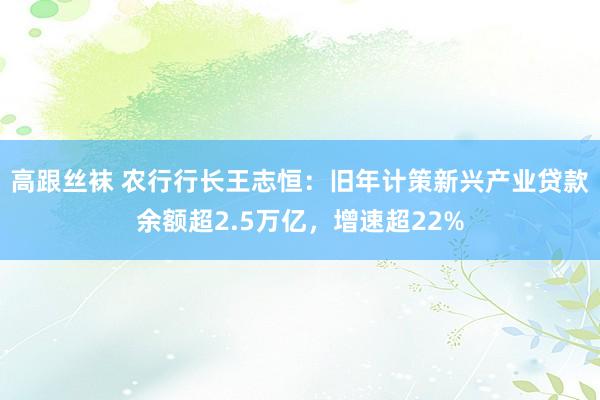 高跟丝袜 农行行长王志恒：旧年计策新兴产业贷款余额超2.5万亿，增速超22%