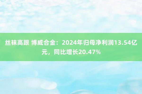 丝袜高跟 博威合金：2024年归母净利润13.54亿元，同比增长20.47%