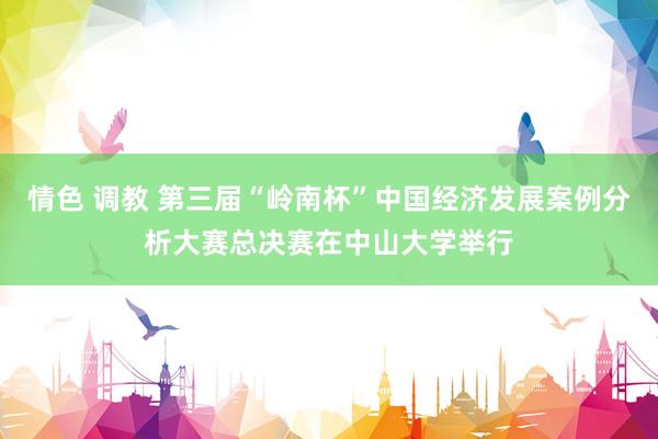 情色 调教 第三届“岭南杯”中国经济发展案例分析大赛总决赛在中山大学举行