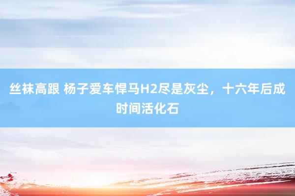 丝袜高跟 杨子爱车悍马H2尽是灰尘，十六年后成时间活化石